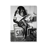 Canvas - Monkey Business